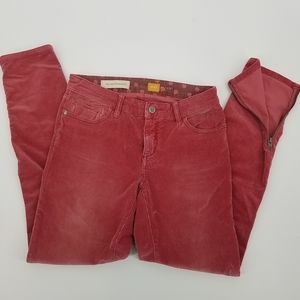 Pilcro & the Letterpress jeans